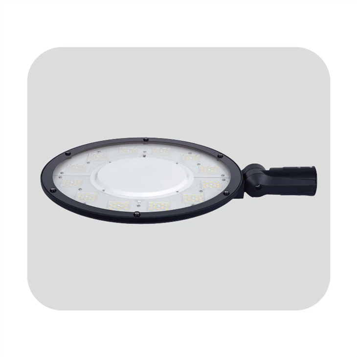 100W Led Garden Light