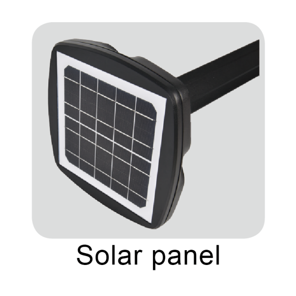 DLW-S-001-03 DLW-S-001-03